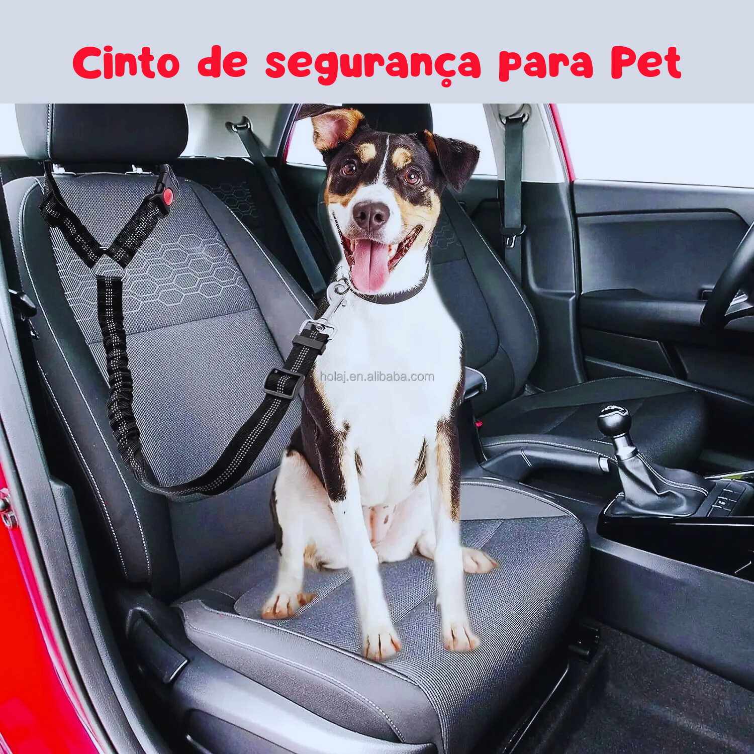 Coleira Petseguro