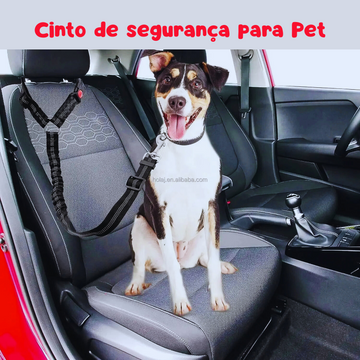 Coleira Petseguro